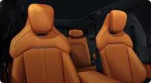 Coral Orange