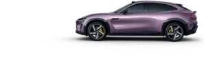 Twilight Purple